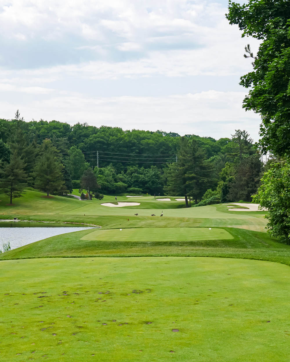 The National Golf Club of Canada Hole 11