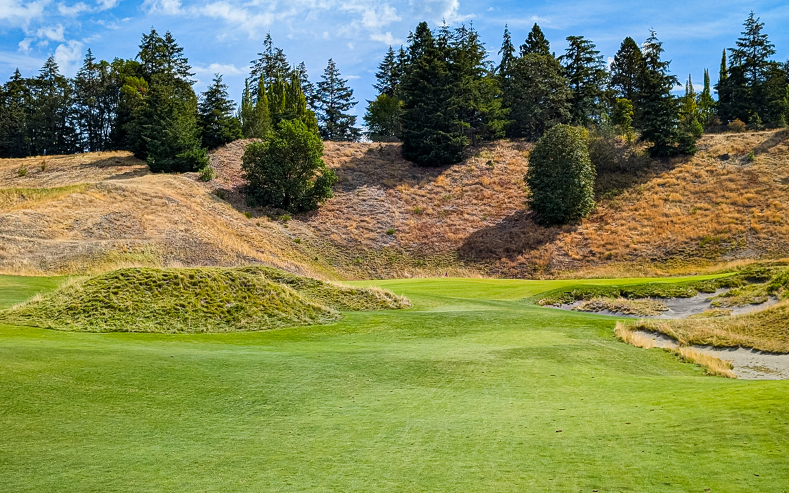 Chambers Bay Golf Course Washington