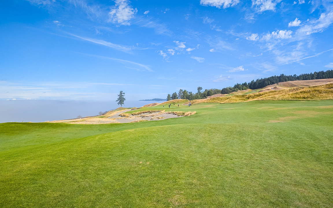 Chambers Bay Golf Course Washington