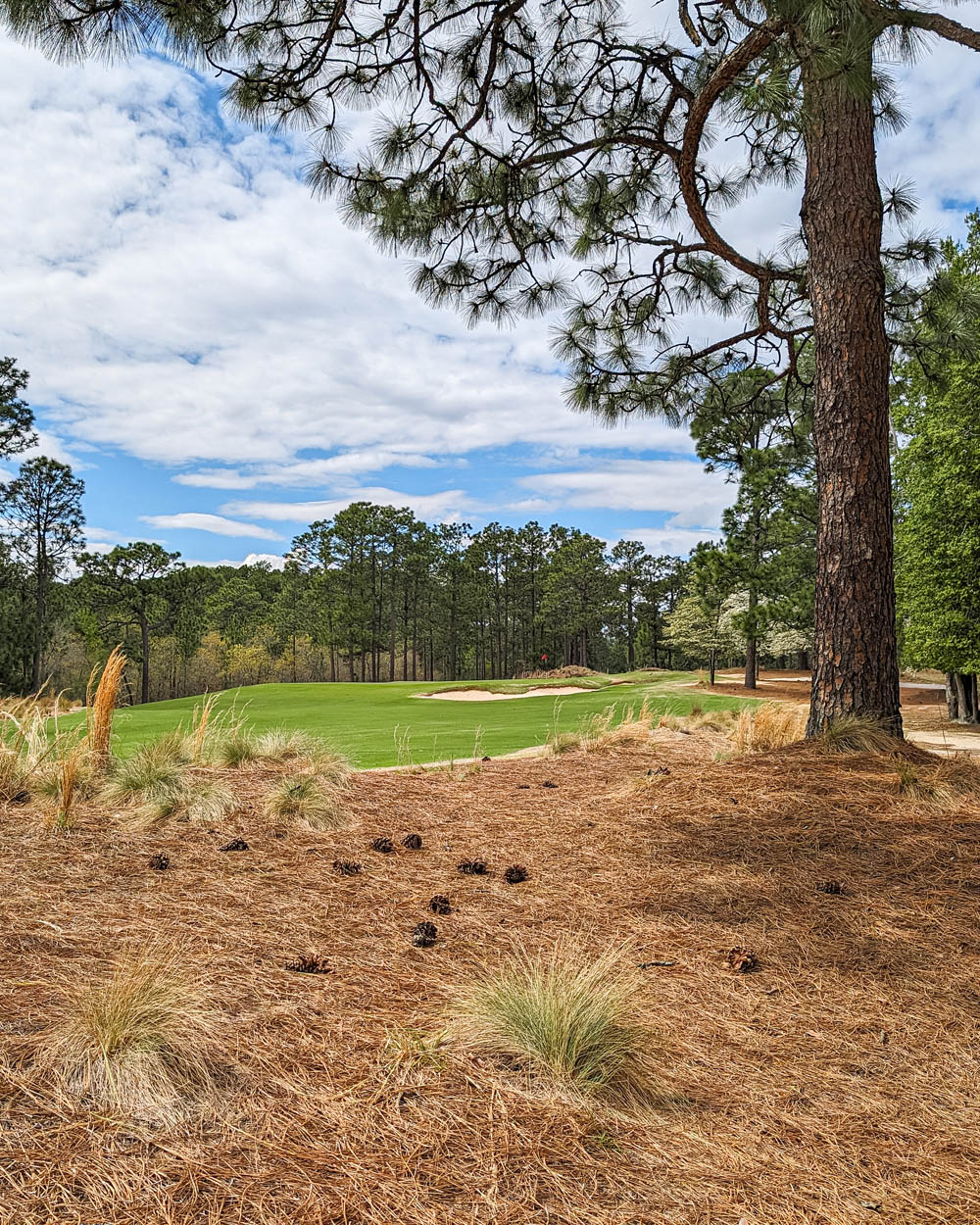 Pine Needles Golf Club