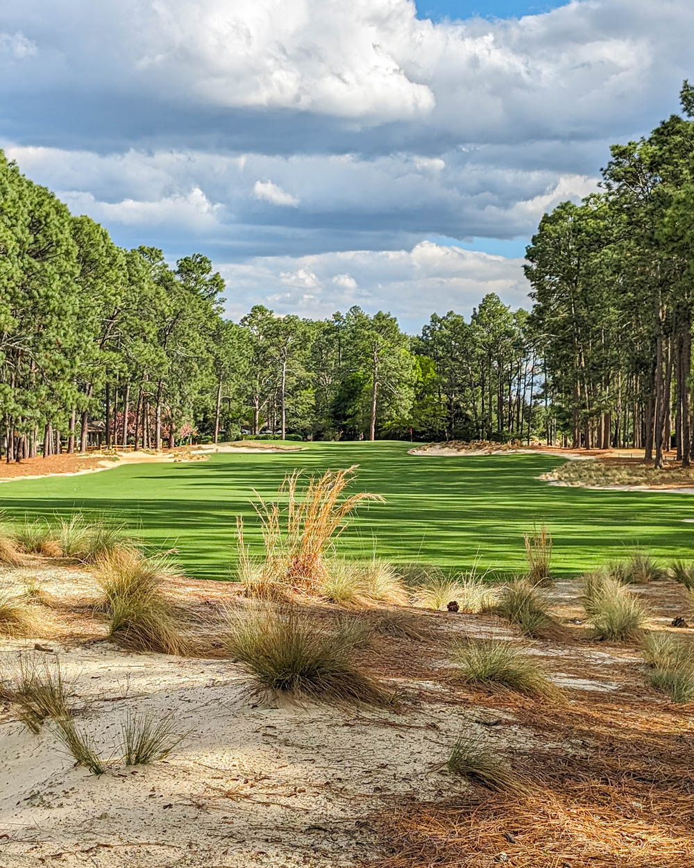 Pine Needles Golf Club