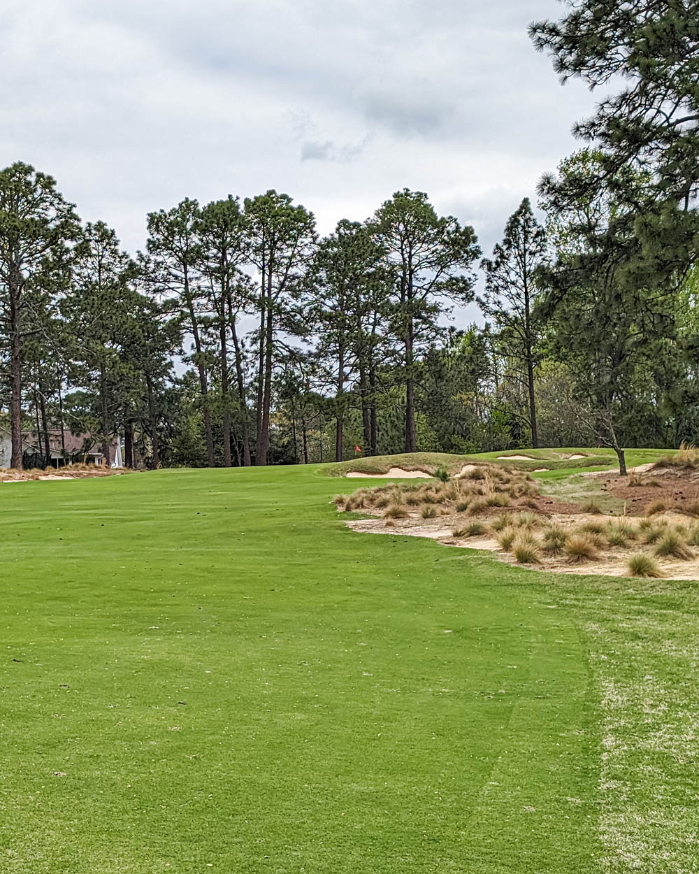 Pine Needles Golf Club