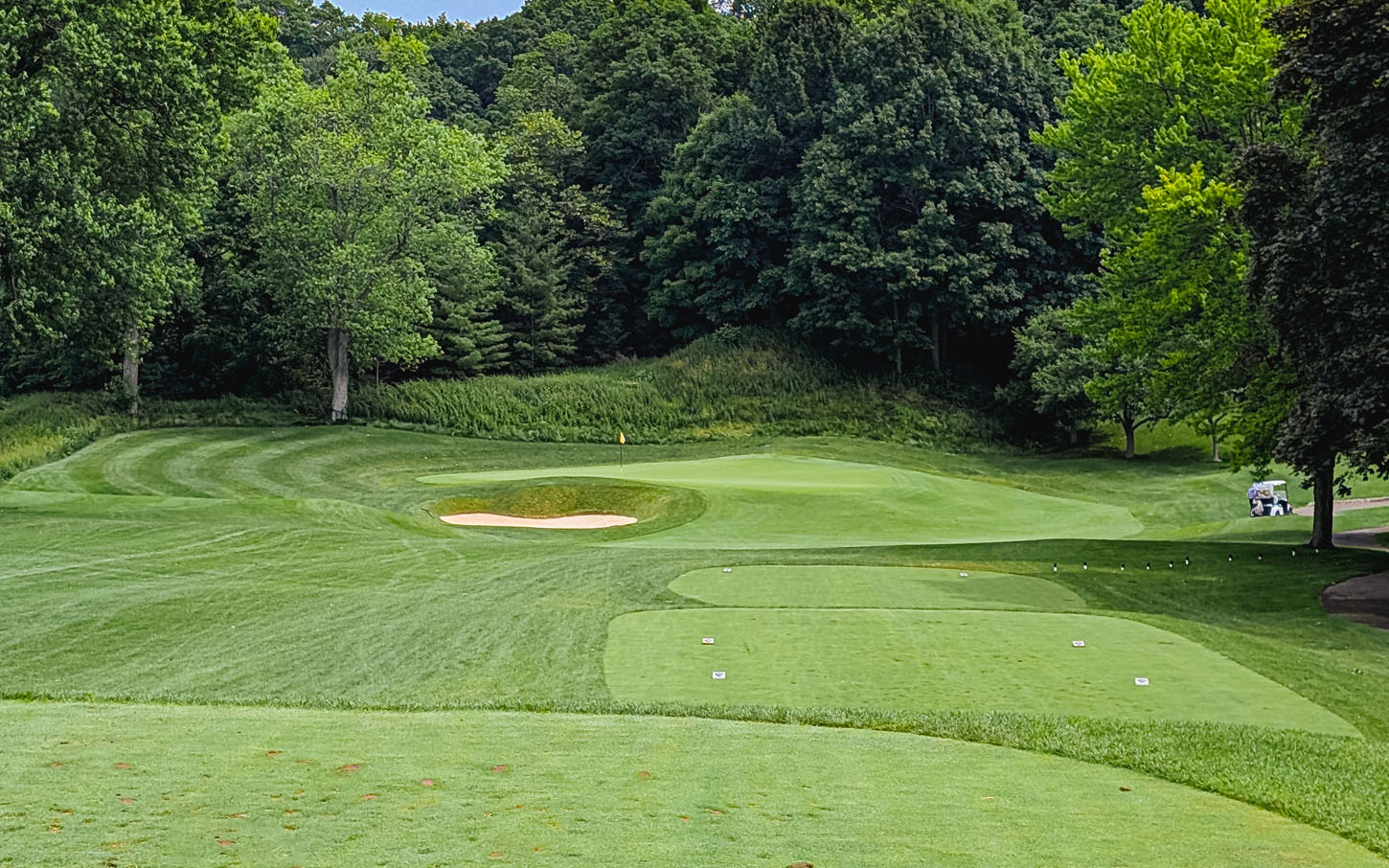 Rosedale Golf Club