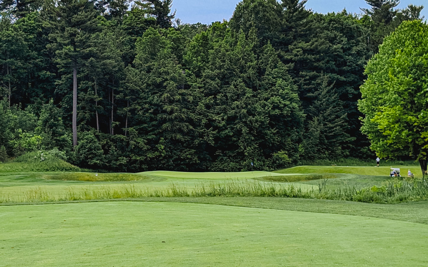 Rosedale Golf Club