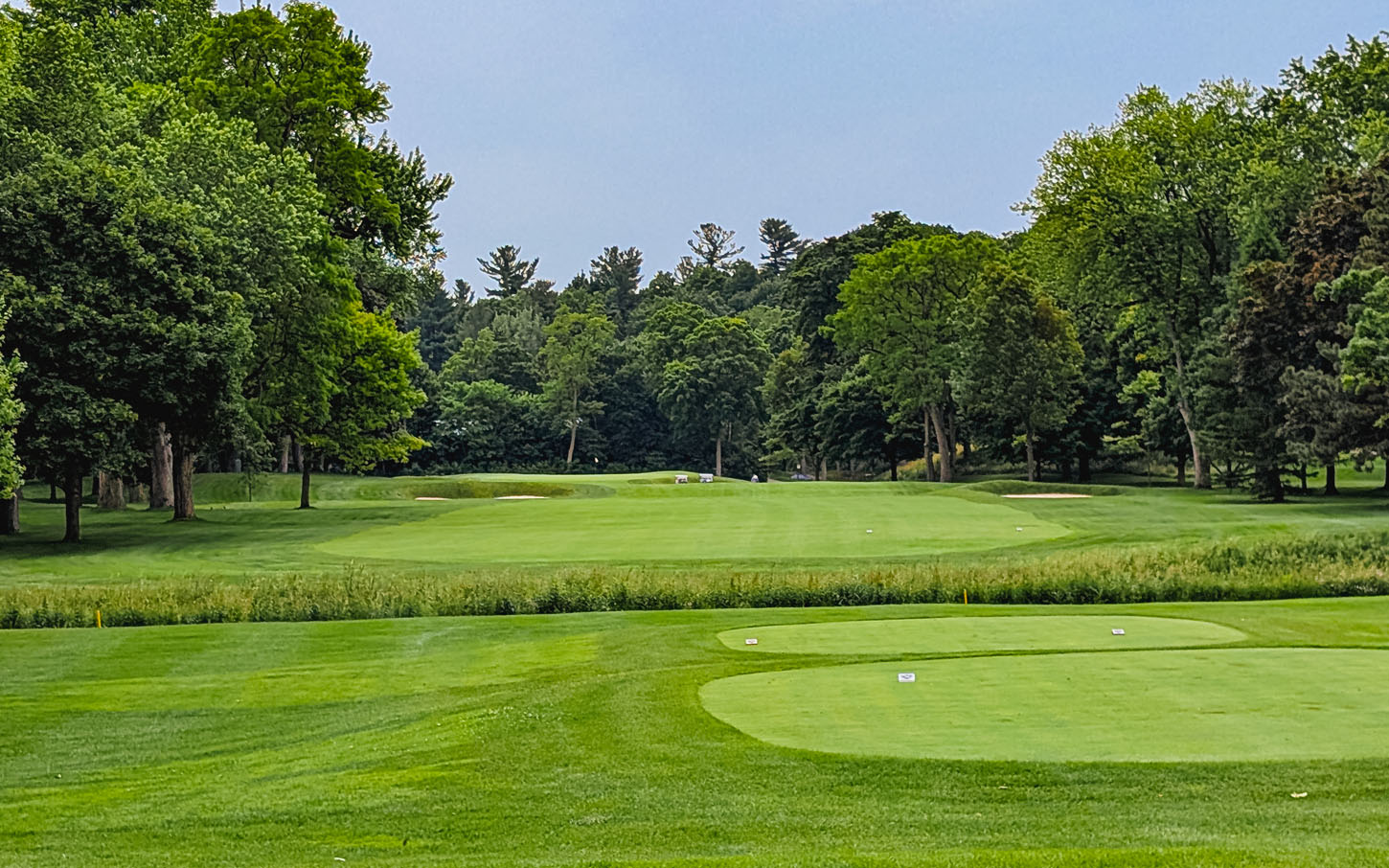 Rosedale Golf Club