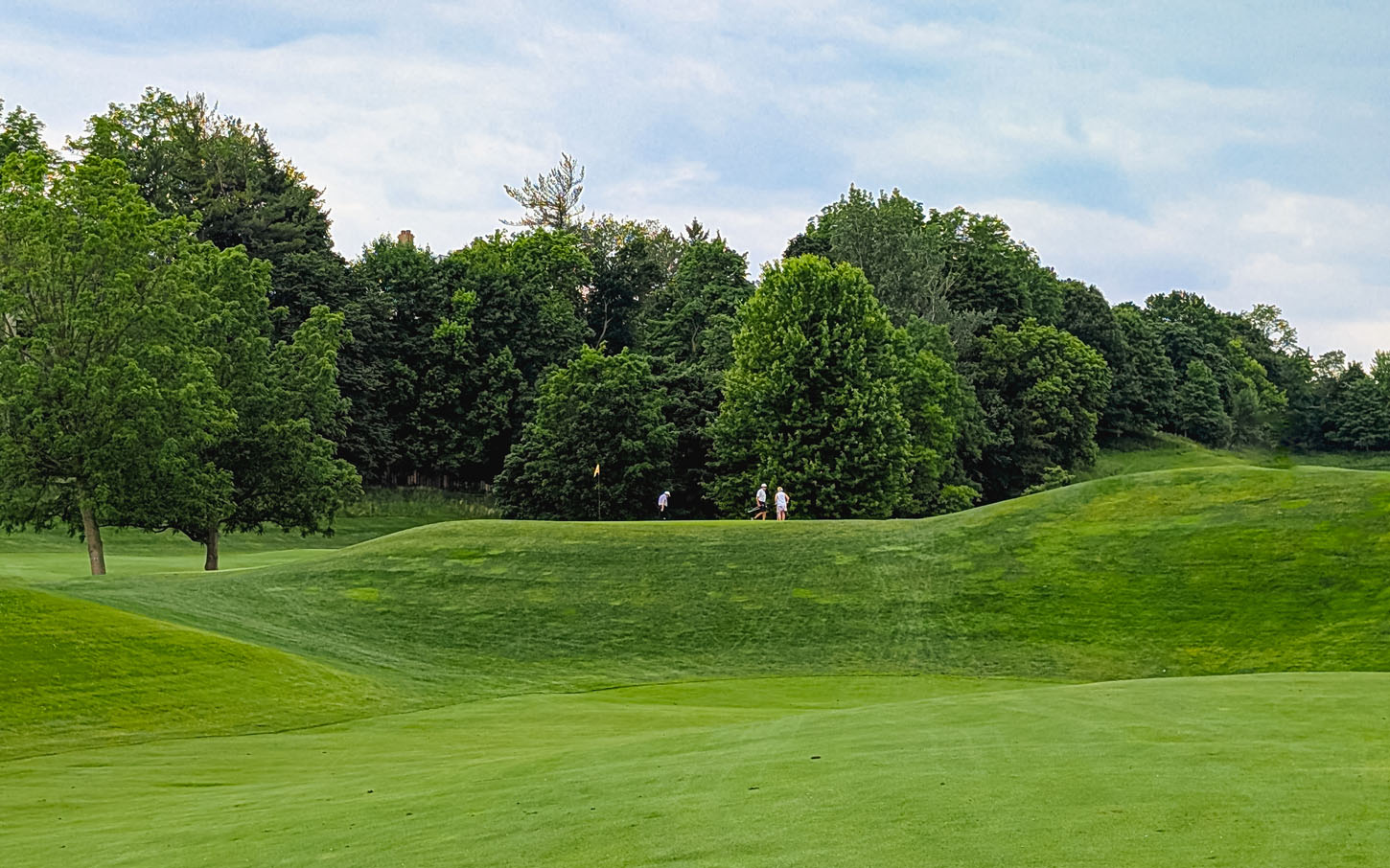 Rosedale Golf Club