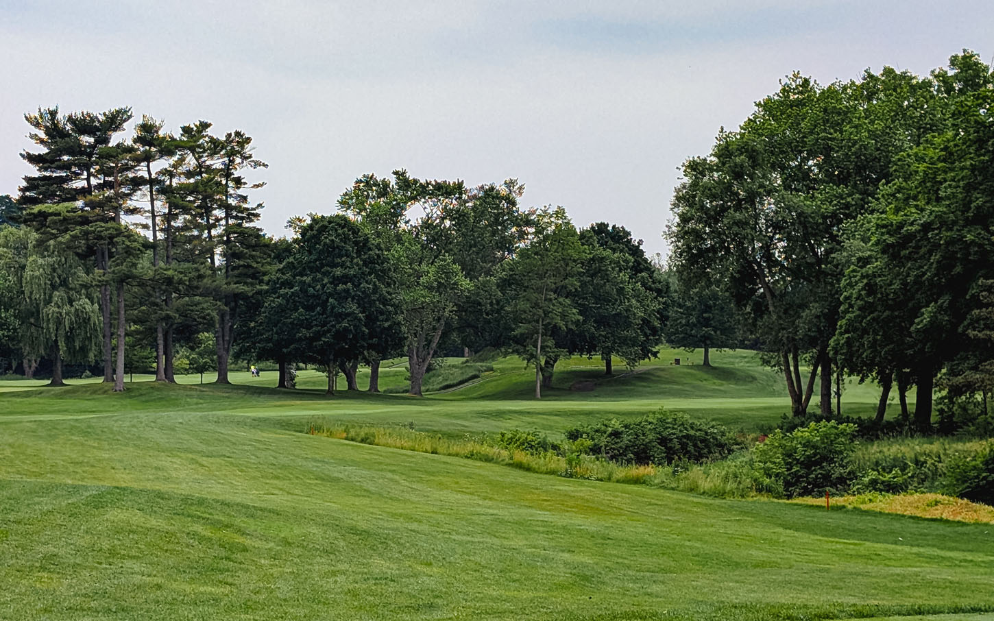 Rosedale Golf Club