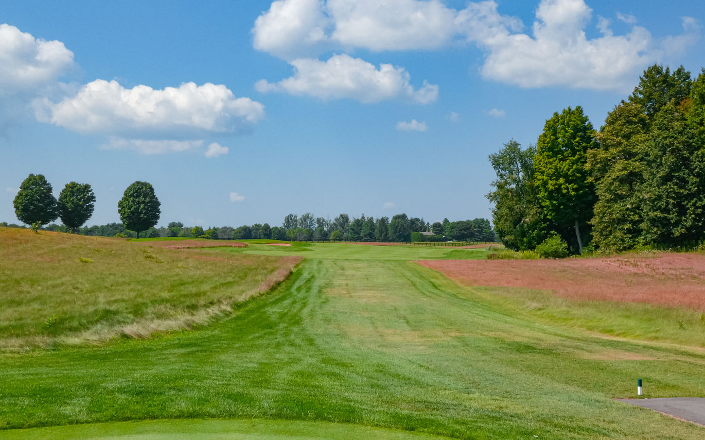 Redtail Golf Course