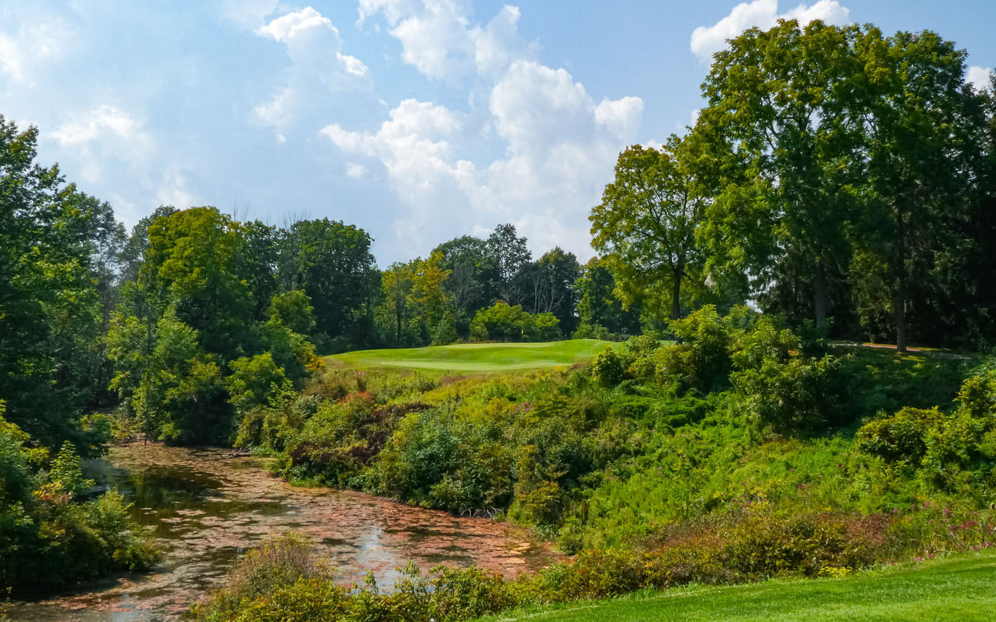 Redtail Golf Course
